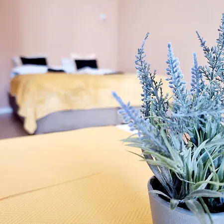 Apartment Host Wolczanska *
